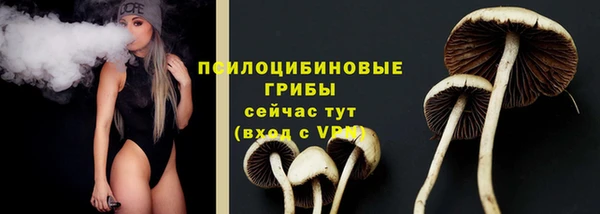 бутират Кинешма