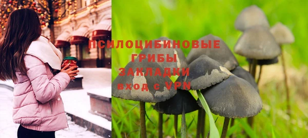 эйфоретик Козельск